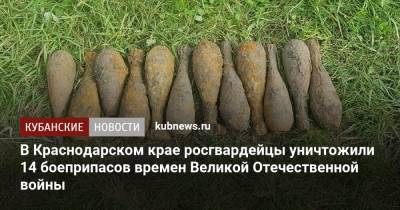 В Краснодарском крае росгвардейцы уничтожили 14 боеприпасов времен Великой Отечественной войны