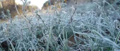 Заморозки в Украине: метеорологи сообщили, где будет холодней всего