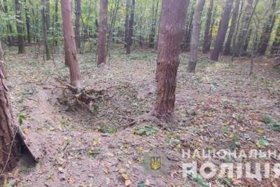 При взрыве снаряда в лесу на Буковине погиб человек