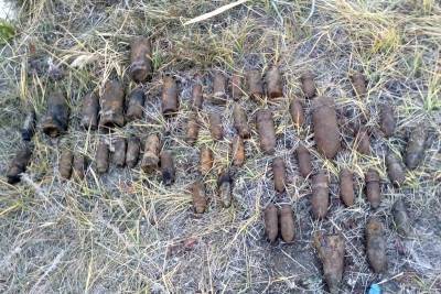В Курганской области местный житель нашел у водоема почти полсотни снарядов