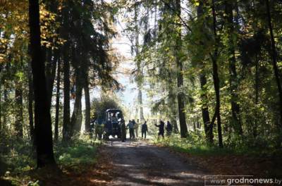 Более 6 000 добровольцев приняли участие в акции «Чистый лес» на Гродненщине