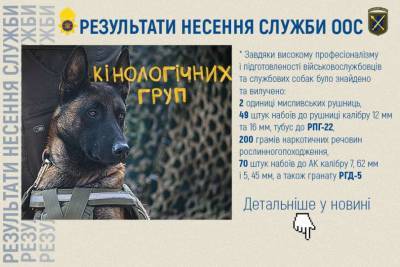 Гвардейцы-кинологи выполняли боевые и специальные задачи в зоне ООС - lenta.ua - Украина