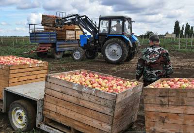 Путин рассказал о возможностях российских сельхозпроизводителей