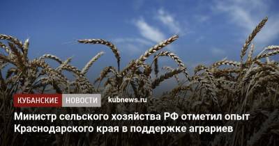 Министр сельского хозяйства РФ отметил опыт Краснодарского края в поддержке аграриев
