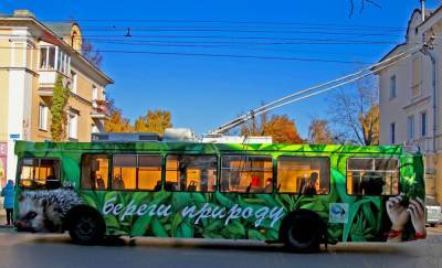 Оформленный в эко-стиле троллейбус появился в Дзержинске