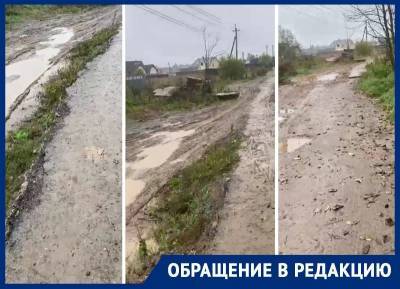 Жители поселка под Москвой просили отремонтировать дорогу. Но на ее месте власти разбили сквер