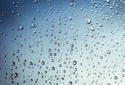 Жителям Ленобласти спрогнозировали слабый дождь 12 октября