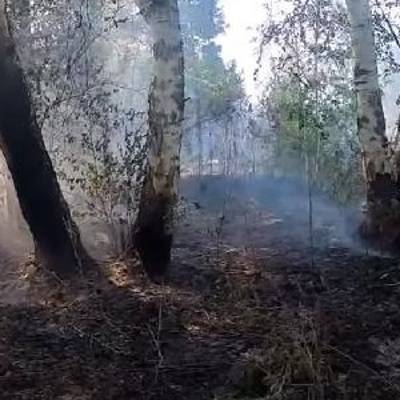 Концентрация дыма от горящих торфяников близ Екатеринбурга пока в пределах нормы