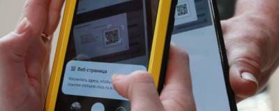 В Ленобласти введут QR-коды с 15 ноября