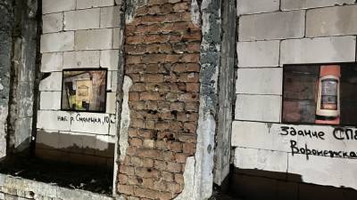 Движение «Город перемен» предложило внести петербургские руины в Книгу рекордов Гиннесса