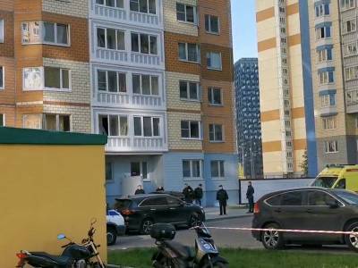 Мучалась от одиночества: в Москве мать с двумя детьми выпала из окна 17-го этажа