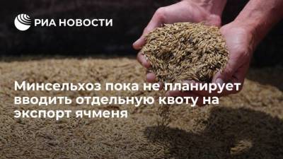 Минсельхоз не рассматривает введение отдельной квоты на экспорт ячменя из России