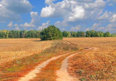 В Тверской области проверили 70 гектаров земли