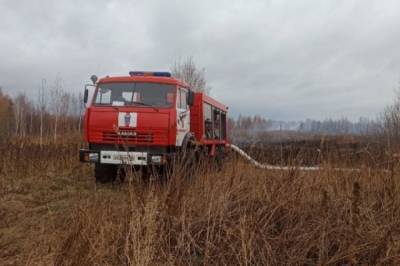 Пожарные локализовали тление торфяника на юге Екатеринбурга