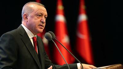 Турция не намерена терпеть наличие угроз с севера Сирии - Эрдоган