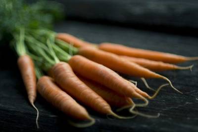Надо ли обрезать ботву у моркови перед уборкой: зачем это делают