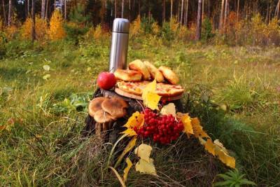 Необычайно красивые пейзажи находят грибники в лесах Новосибирска в октябре