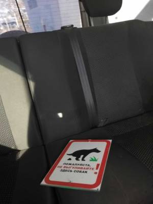 Южносахалинцев просят не ломать таблички о запрете выгула собак