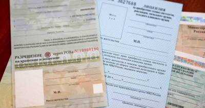 В России предложили отбирать лицензию на оружие после проверки МВД