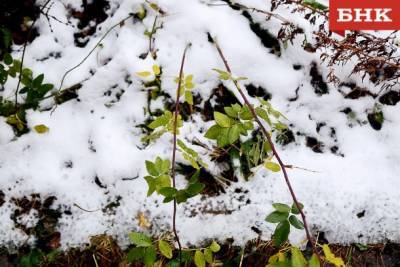 На севере Коми ожидается мокрый снег