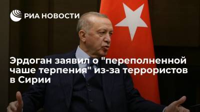 Эрдоган заявил, что Турция самостоятельно ликвидирует террористическую угрозу в Сирии