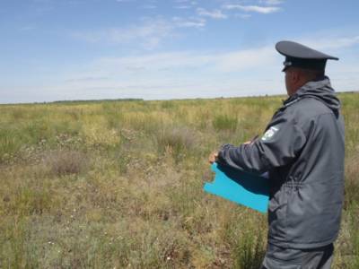 Собственнику земли в Тверской области выписан штраф за заросший участок