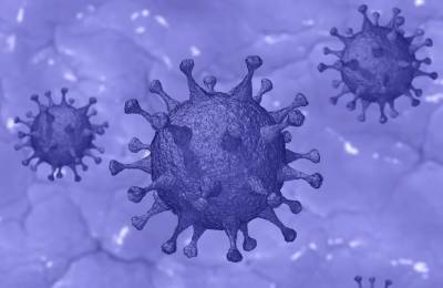 В Башкирии выявили 633 новых случаев коронавируса