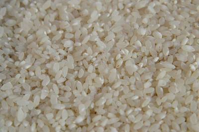 В полях Ростовской области началась уборка риса