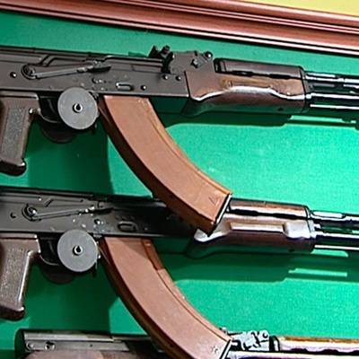В России предложили ужесточить условия выдачи лицензии на покупку оружия
