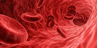Специалисты из Японии рассказали о влиянии на богатство группы крови