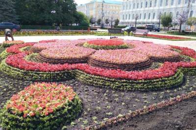 Сотни тысяч цветов и деревьев высадят в Ставрополе до конца осени