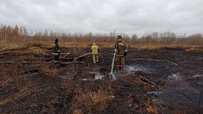 В Екатеринбурге локализовали пожар на торфянике, из-за которого возник смог