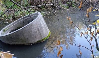 Свалка и горячая вода: что обнаружили экоактивисты в логу реки Тюменки?