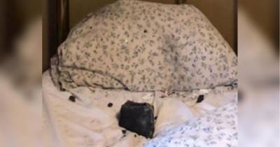 Спляча жінка ледь не загинула, коли дах її будинку пробив метеорит і впав на її подушку