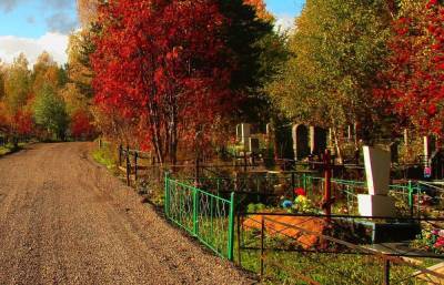 В Тверской области три деревенских кладбища оказались бесхозными
