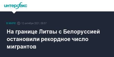 На границе Литвы с Белоруссией остановили рекордное число мигрантов