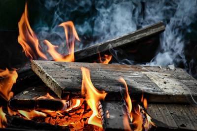 В Вологде при пожаре погибли женщина и двое детей
