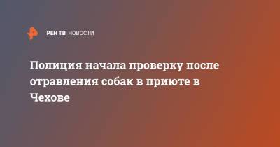 Полиция начала проверку после отравления собак в приюте в Чехове