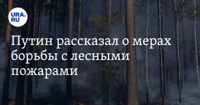 Путин рассказал о мерах борьбы с лесными пожарами