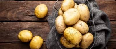 Как нужно правильно мыть картофель, чтобы не навредить здоровью