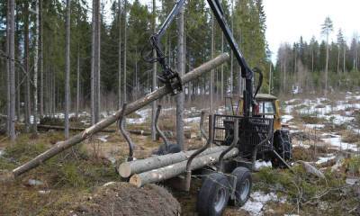 «Сегежа групп» заключила крупнейшую сделку в лесопромышленном комплексе