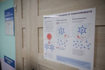 В Челябинской области прививки против COVID-19 поставили 83% педагогов