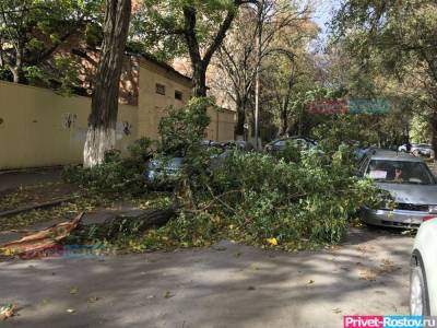 Ураганный ветер с жарой накроет Ростовскую область