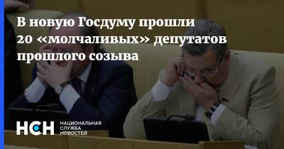 В новую Госдуму прошли 20 «молчаливых» депутатов прошлого созыва