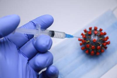 В Новосибирской области введут систему QR-кодов и принудительную вакцинацию