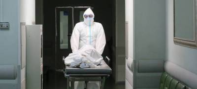 В России зафиксирован новый рекорд по смертности от коронавируса за сутки