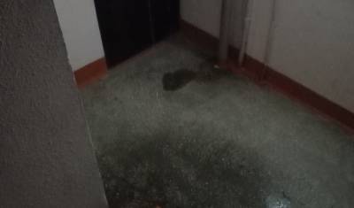 В Тюмени дом, пострадавший от пожара, заливает водой