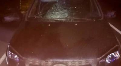В Красночетайском районе водитель "Лады" не заметил идущую в темноте женщину: пешеход погиб