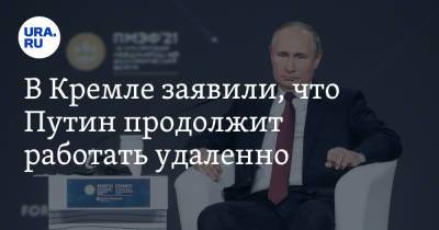В Кремле заявили, что Путин продолжит работать удаленно