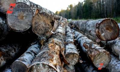 Жители Хакасии рискуют остаться зимой без дров